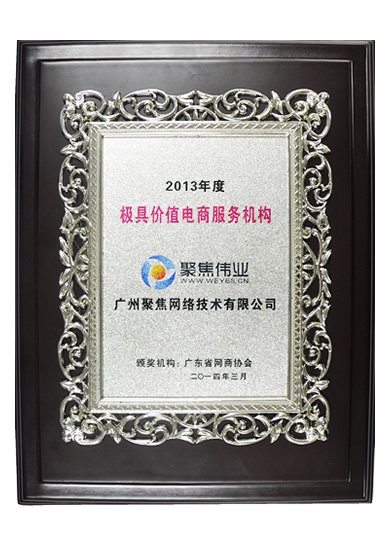 2013年度极具价值电商服务机构